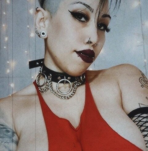sug4r.kitty OnlyFans